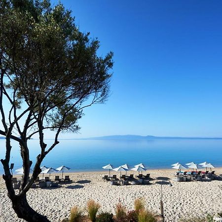 Develikia Private Villas Villa-1 Ierissos المظهر الخارجي الصورة